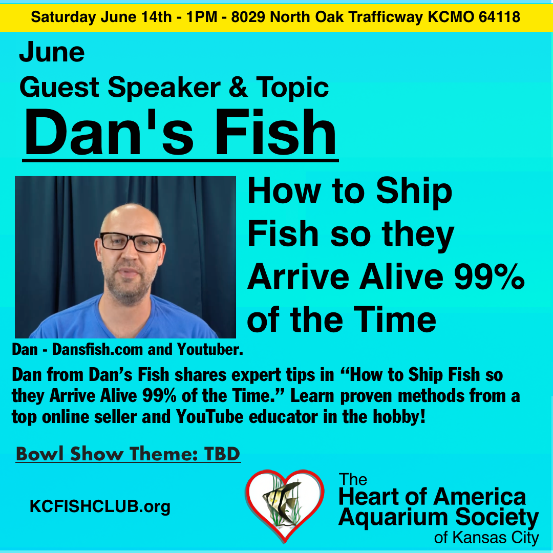Dan’s Fish YouTube Banner