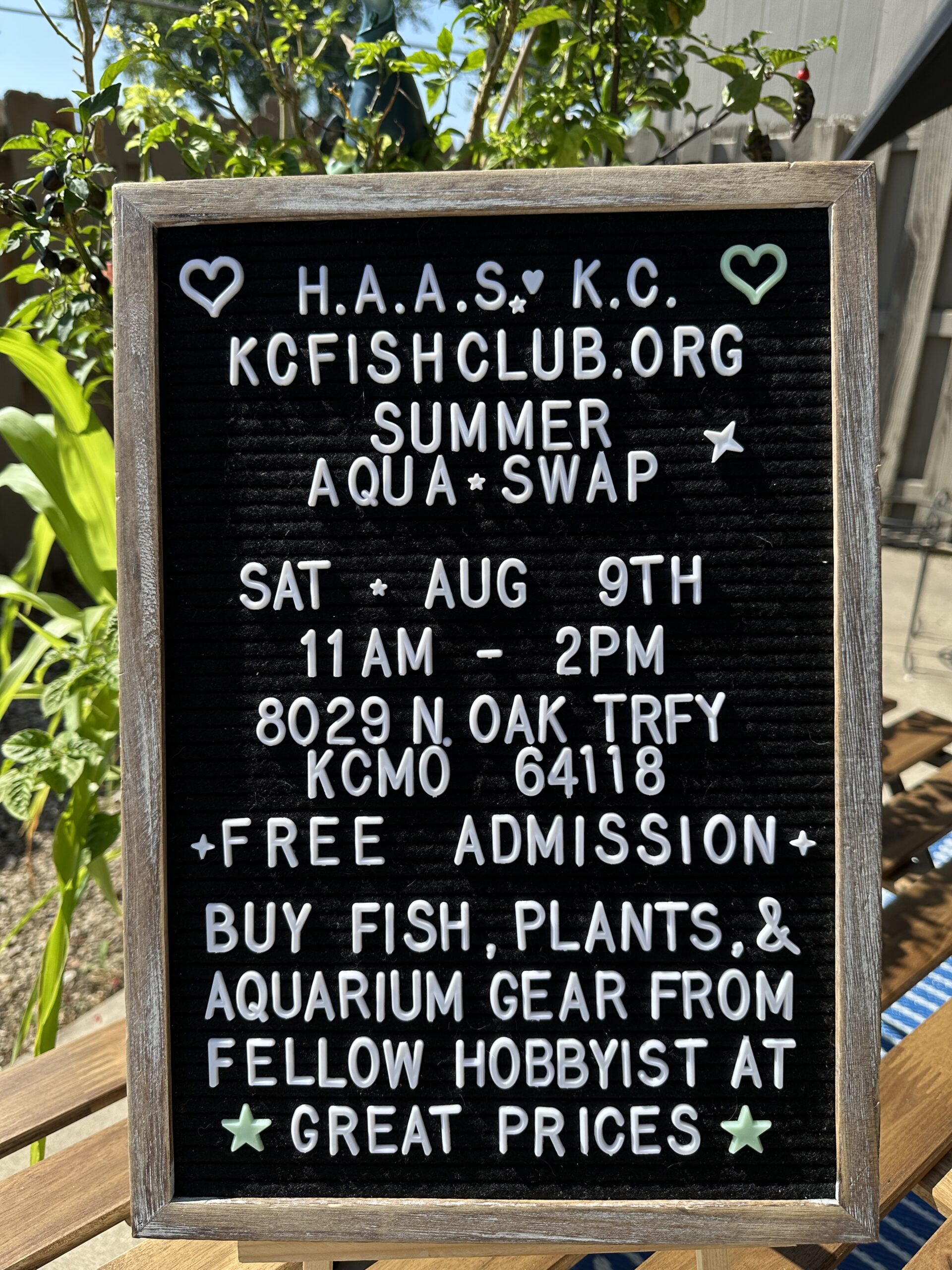 HAAS KC Summer Aqua Swap Flyer