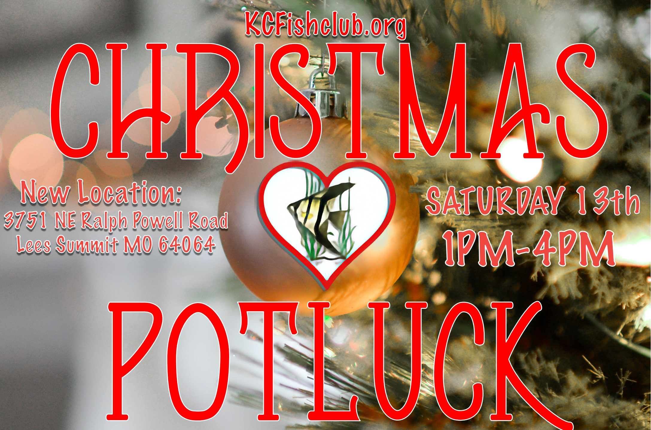 NOVEMBER GENERAL MEETING