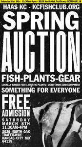 Auction 25