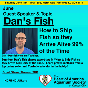 Dans Fish