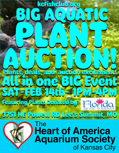 Untitled 4 Untitled 4